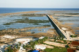 Hải đội Hoàng Sa và những hùng binh khi ấy