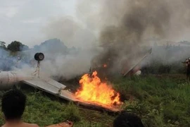 Mexico: Rơi máy bay phản lực, 8 người chết