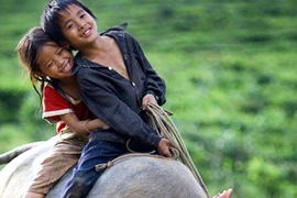 “Việt Nam-Đất nước vì hòa bình”