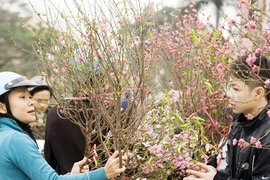 Hà Nội mở 47 chợ hoa Xuân