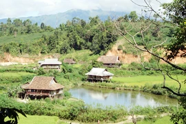 Công bố hoạt động kỷ niệm 60 năm chiến thắng Điện Biên Phủ