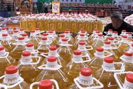 “Cơn lốc” dầu ăn bẩn tràn vào Đài Loan