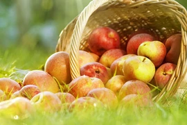 Làm đẹp từ táo