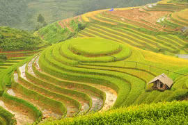 “Mâm xôi” trên những nấc thang trời