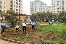 Cải tạo khu tái định cư Đồng Tàu