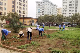 Cải tạo khu tái định cư Đồng Tàu