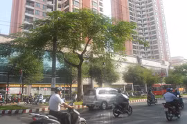 15 năm “tai tiếng” với những chuyện u mê hoang đường