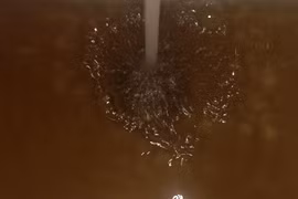 Nước sinh hoạt đen như nước cống