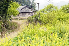 Bản Dọi - vẻ đẹp hoang sơ