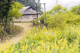 Bản Dọi - vẻ đẹp hoang sơ