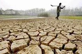 2014 có thể là năm nóng nhất