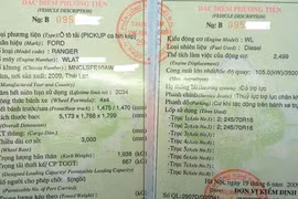 Tràn lan giấy đăng kiểm giả