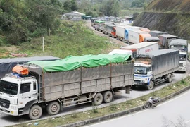 Giao thương với đối tác Trung Quốc: Còn bị động, còn chịu thiệt thòi