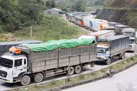Giao thương với đối tác Trung Quốc: Còn bị động, còn chịu thiệt thòi
