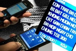 Thêm bị hại “VIP” mất 300 triệu đồng