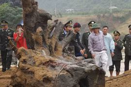 Phát hiện gỗ sưa được thưởng như thế nào? Mua phần thưởng này có hợp pháp không?