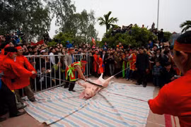 Đến lễ hội chỉ vì hiếu kỳ