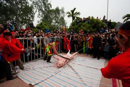 Đến lễ hội chỉ vì hiếu kỳ