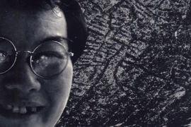 Cánh chim biển không mệt mỏi