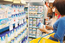 Giá sữa rục rịch giảm