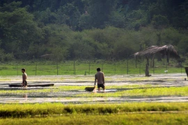 Vùng hồ cổ tích