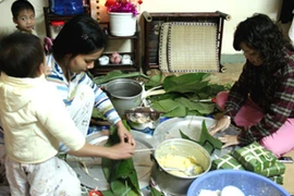 “Bánh chưng pin” bị tẩy chay