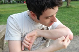 Người có mùi bia dễ “làm mồi” cho muỗi