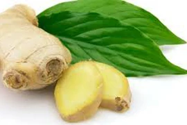Gừng giúp hạ đường huyết