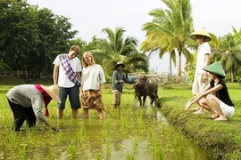 Rắc rối từ du lịch homestay