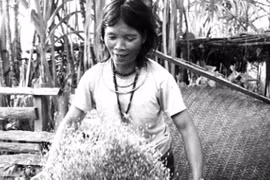 Lạ lùng ở nơi đàn ông dễ mến, đàn bà hay cười