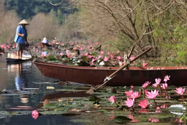 Suối Yến mùa nước nở hoa