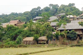 Nốt trầm giữa bản nhạc cao nguyên