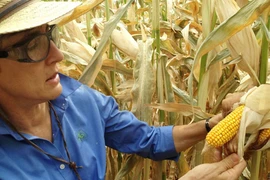 Một đối tác thiếu minh bạch