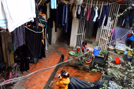 Phố cổ khốn khổ vì nồm