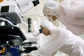 Giáo sư Ngô Bảo Châu: Việt Nam đang làm ngược với thế giới