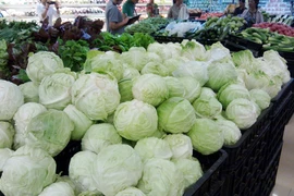 Rau quả Trung Quốc “lẻn” vào siêu thị