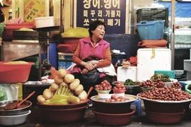 Hàng trăm người già Hàn Quốc bán thân nuôi miệng