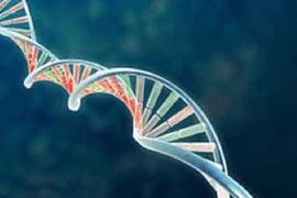 Ngăn ngừa bệnh AIDS bằng gene miễn dịch