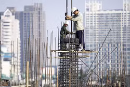 Dự đoán chấn động