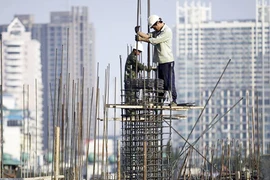 Dự đoán chấn động