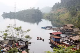 Nước có lành, người mới đậu