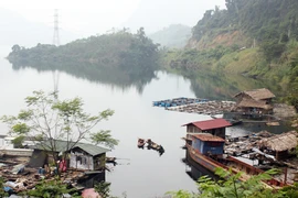 Nước có lành, người mới đậu