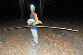 Đổ xô lên núi săn thằn lằn vì lời đồn chữa khỏi bệnh... ung thư 