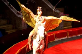 “Hoàng tử trăn” làm đạo diễn xiếc