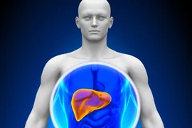 Giải độc gan bằng phương pháp tự nhiên