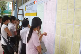 Đi tìm việc đầu xuân
