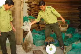 Chỉ còn 11 ngành, nghề bị cấm đầu tư, kinh doanh