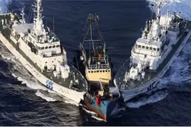 Thật khó tin là thời đại ngày nay mà những lời lẽ xuyên tạc vẫn tồn tại