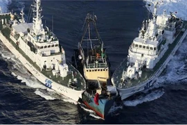 Thật khó tin là thời đại ngày nay mà những lời lẽ xuyên tạc vẫn tồn tại