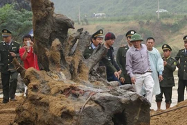 Phát hiện gỗ sưa được thưởng như thế nào? Mua phần thưởng này có hợp pháp không?